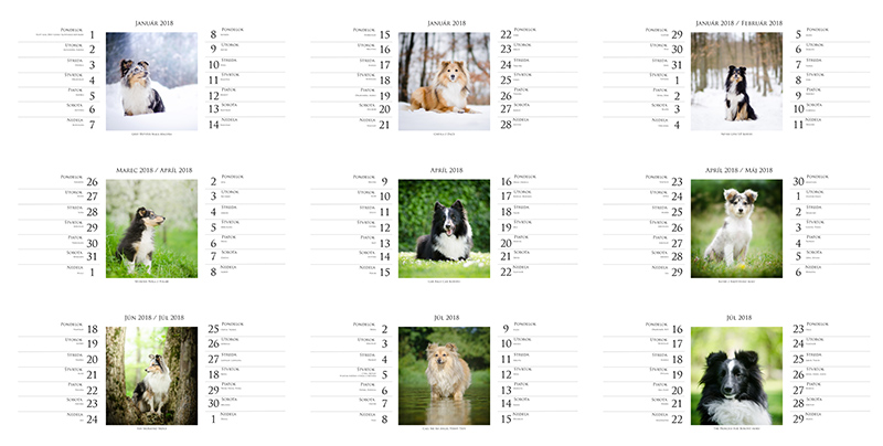Stolový dvojtýždenný kalendár s fotografiami psov