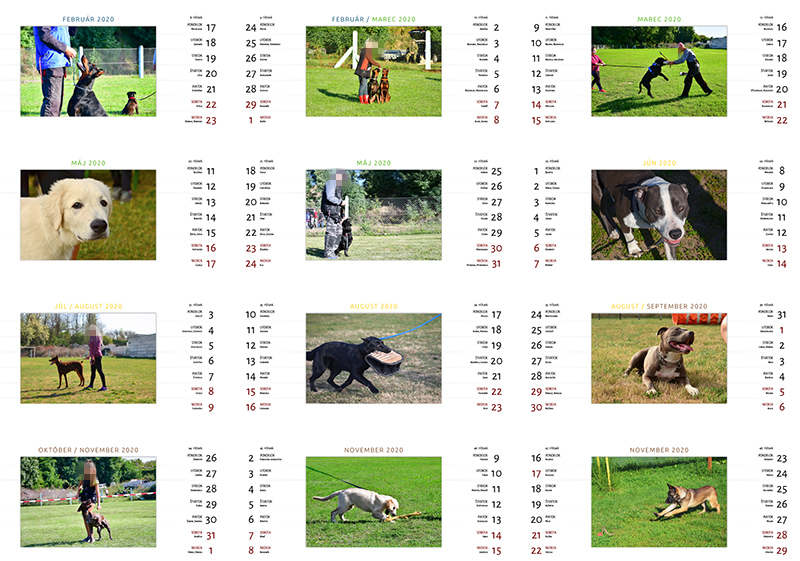 Stolový dvojtýždenný kalendár s fotkami psov, pre kynologický a agility klub