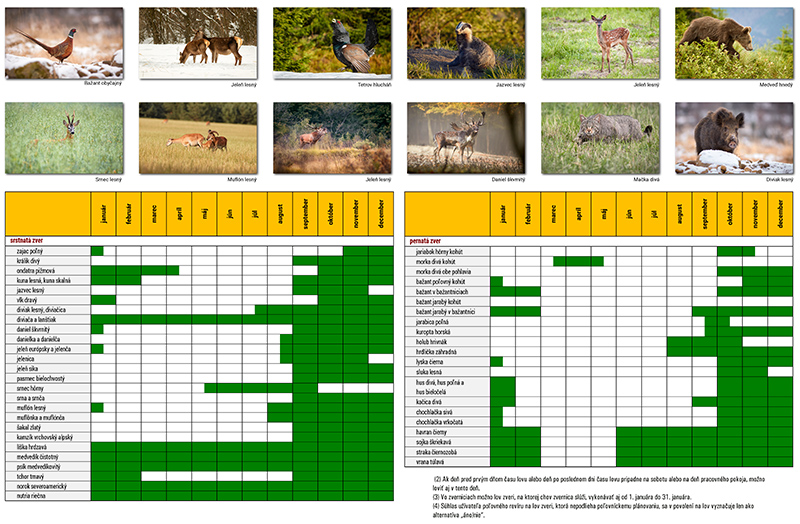 Strana s rozpisom času lovu pre jednotlivé zvieratá v poľovníckom kalendári