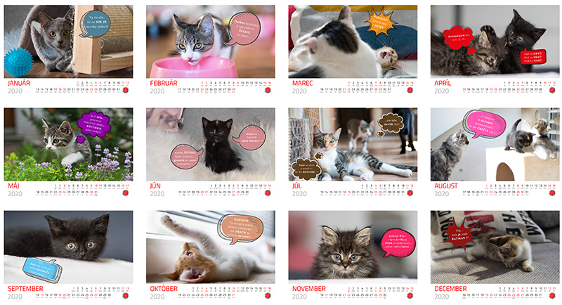 Nástenný kalendár pre mačací útulok
