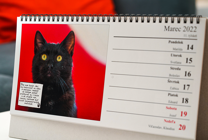 Stolový týždenný kalendár pre mačací útulok, s radami pre majiteľov mačiek