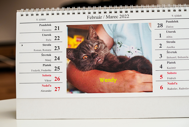 Stolový dvojtýždenný kalendár - útulok mačiek