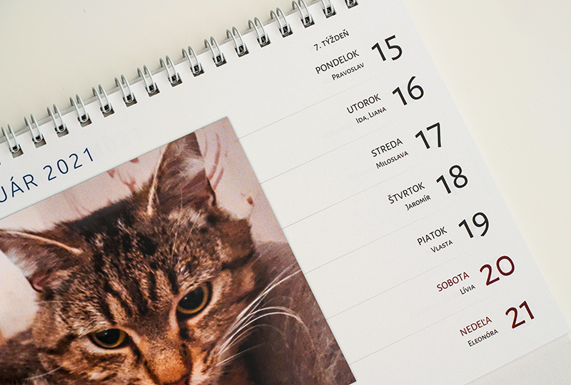 Stolový dvojtýždenný kalendár útulku mačiek