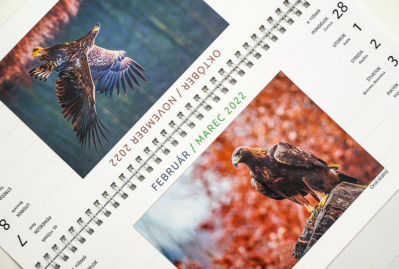 Stolový dvojtýždenný kalendár s fotografiami dravcov