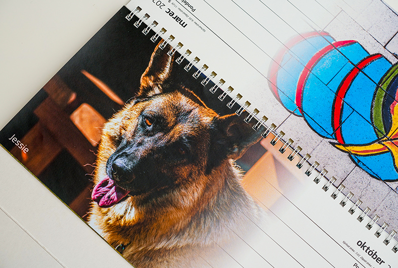 Stolový týždenný kalendár kynologického / agility klubu s fotografiami psíkov