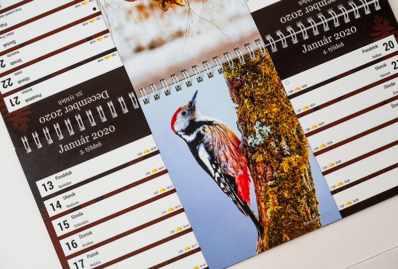 Stolový dvojtýždenný poľovnícky kalendár s fotografiami lesnej zveri a vtáctva