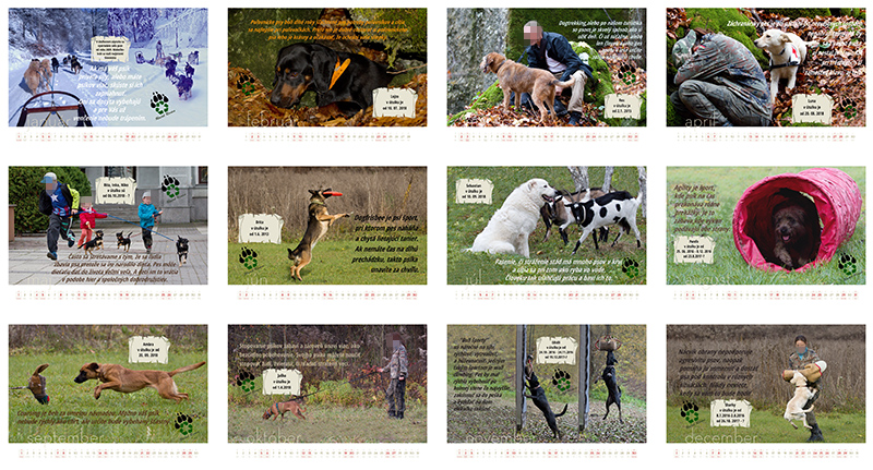 Kalendár pre psí útulok, s tipmi pre majiteľov psíkov