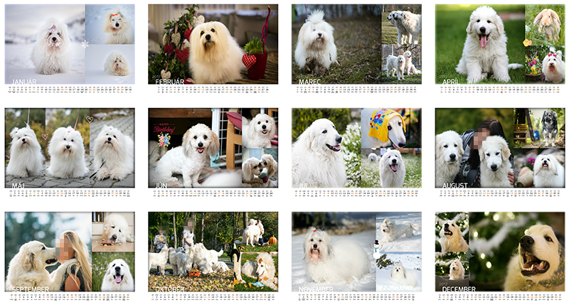Nástenný kalendár, psy