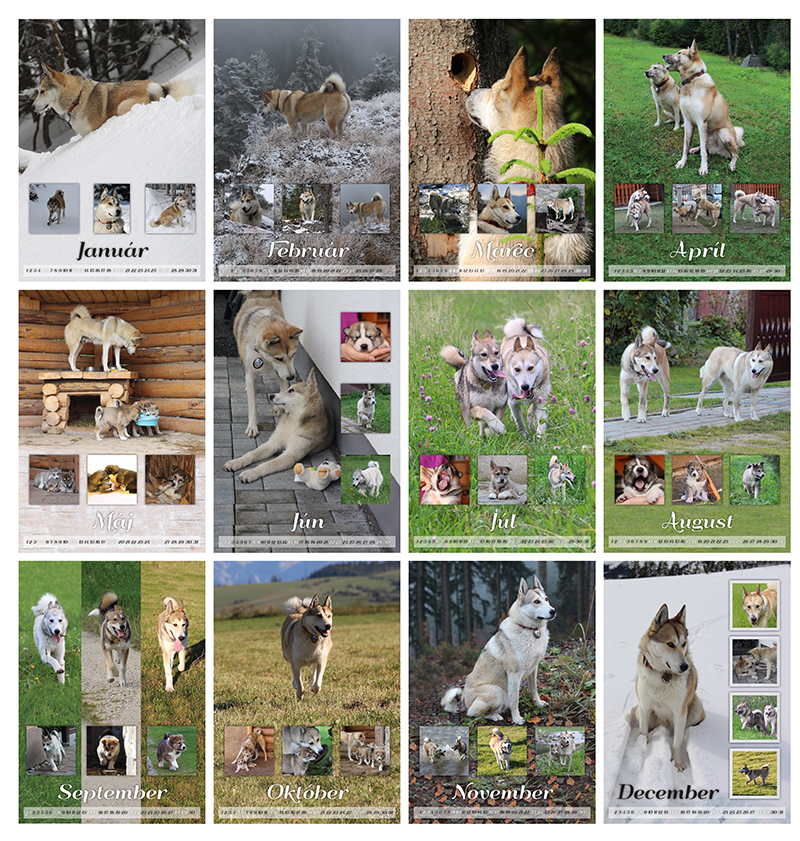 Nástenný kalendár s fotografiami psov, Chovná stanica