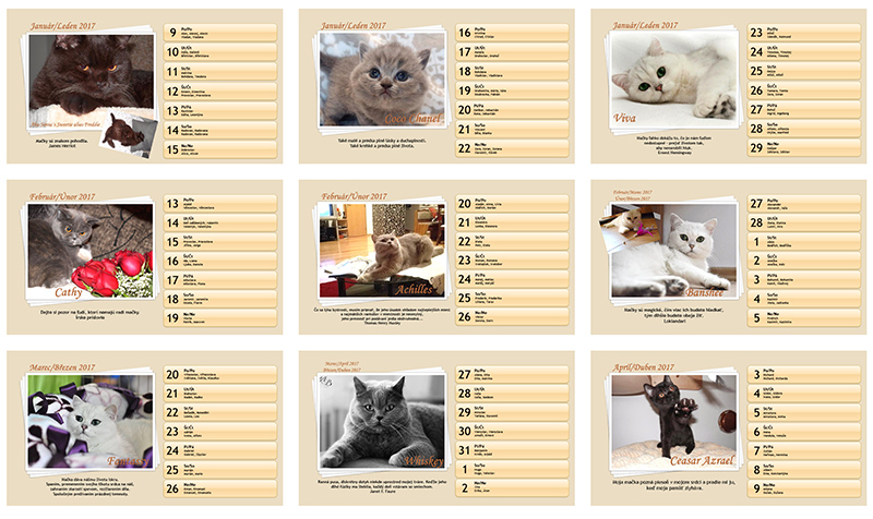 Návrh stolového kalendára, Mačky, chovná stanica