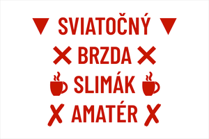 Set Sviatočný vodič